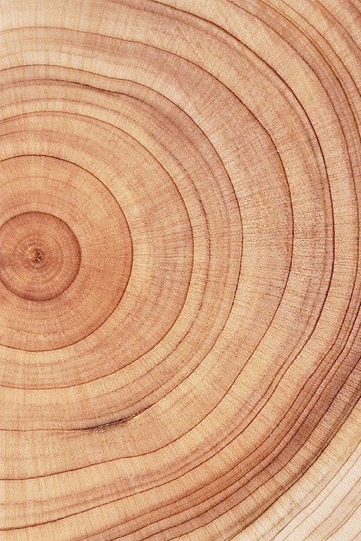 Length Texture